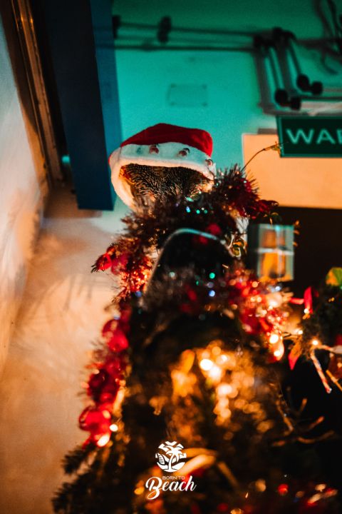 Foto 84 — Christmas Clubbing 2024 ❄
