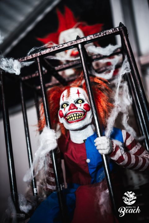 Foto 65 — Halloween Night 2024