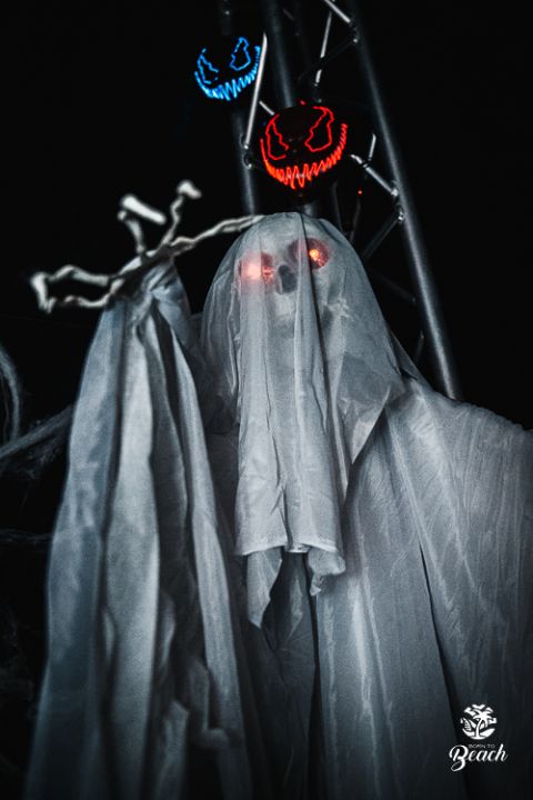 Foto 10 — Halloween Night 2023