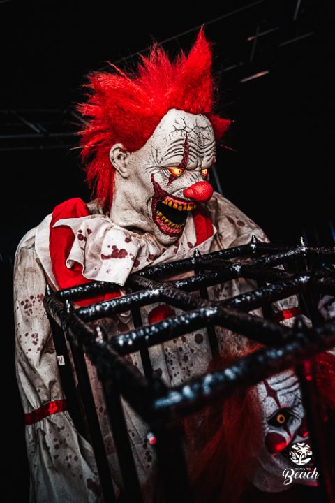 Foto 12 — Halloween Night 2023