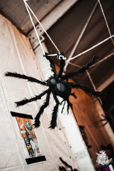 Foto 127 — Halloween Night 2023