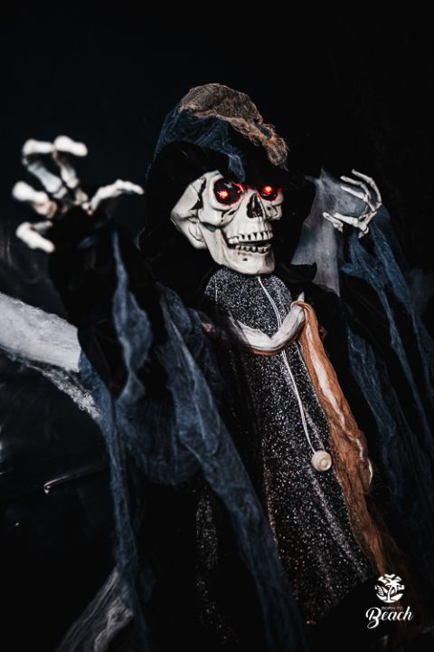 Foto 8 — Halloween Night 2023