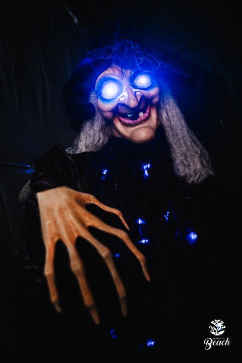 Foto 11 — Halloween Night 2023