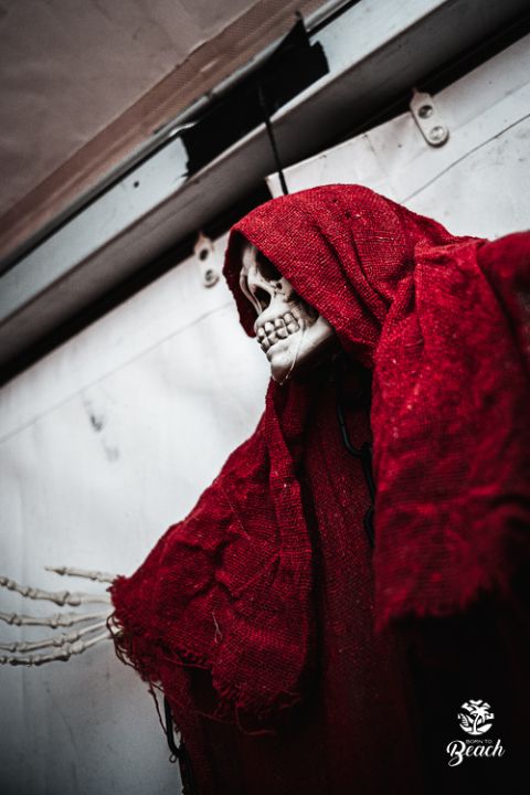 Foto 15 — Halloween Night 2023