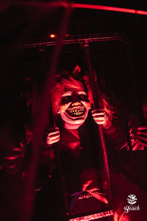 Foto 9 — Halloween Night 2023